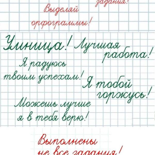 Школьный штамп для учителя